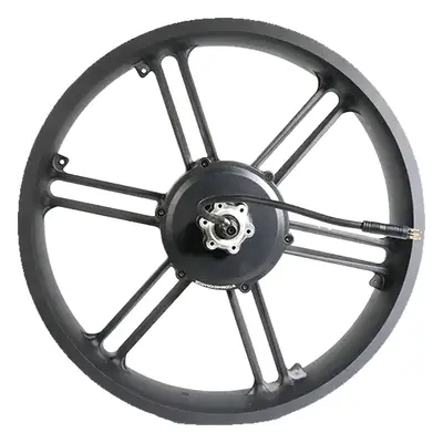 Motor de buje de una fatbike